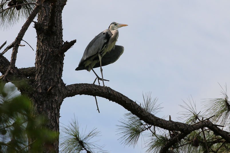 IMG_2888.jpg