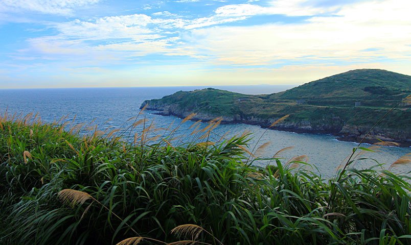 中柱島
