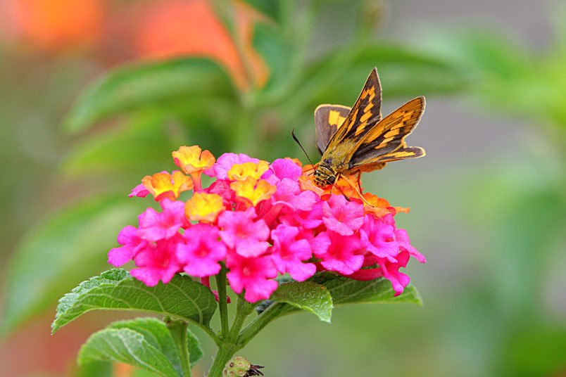 IMG_7845.jpg
