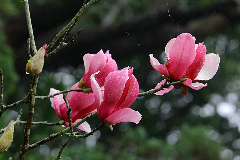 IMG_7857.jpg