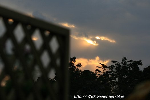 IMG_6626.jpg