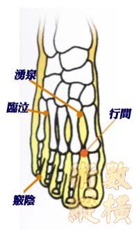 穴道圖004.jpg