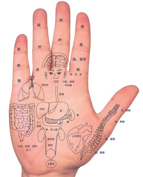 hand5.jpg