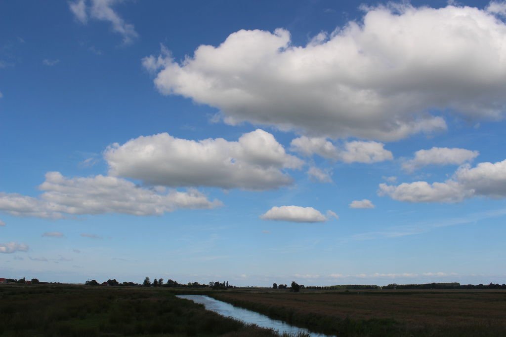 IMG_7607.JPG