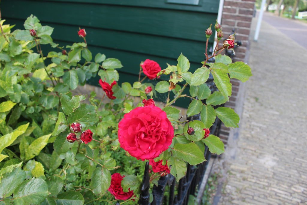 IMG_7629.JPG