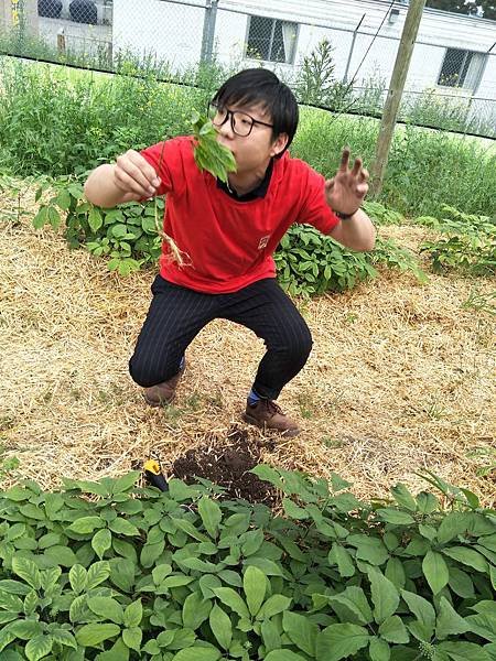 IMG20180531142208.jpg