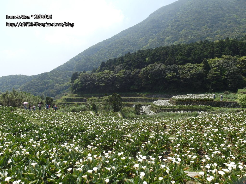 甘味坊 芭樂嫂日式茶屋