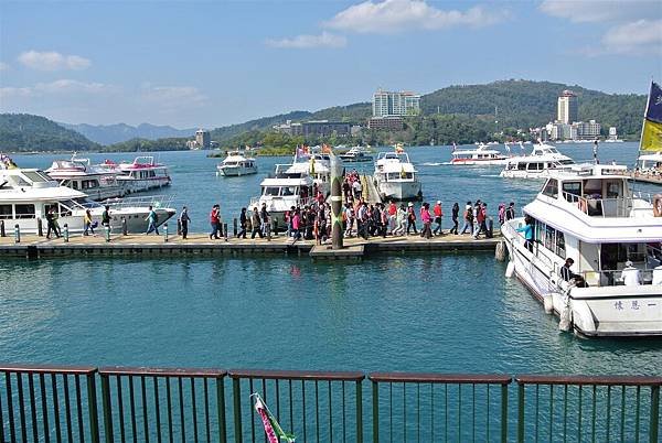 DSC_5138 (Large)