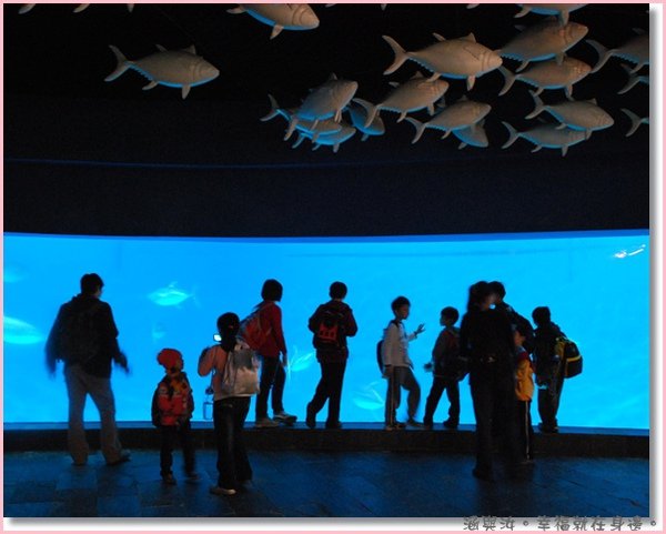 涵涵海生館8.jpg
