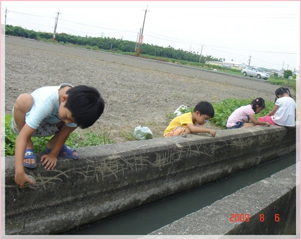 原來以大地為畫.jpg