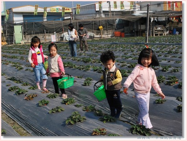 排排隊準備採草莓囉.jpg