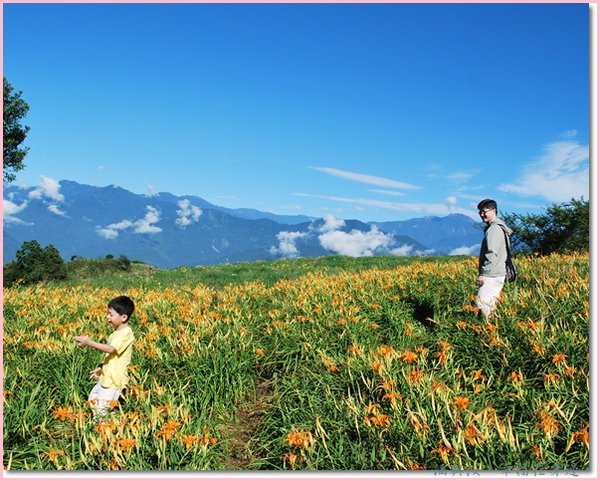 好美的風景畫.jpg