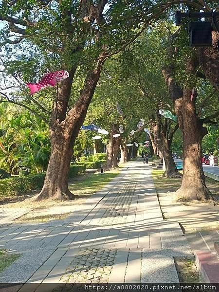 善化/麻豆/佳里半日遊