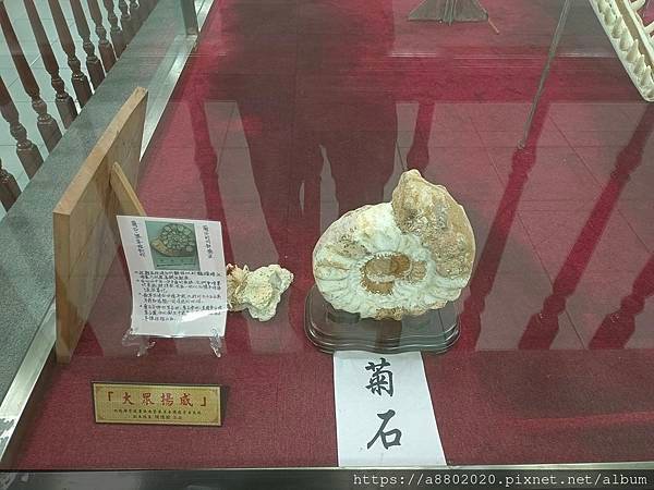 四草大眾廟抹香鯨展覽館