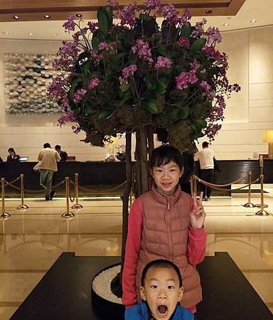 IMG20180130121100(001).jpg