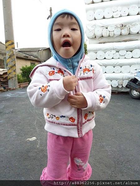 P1000408 (複製).JPG
