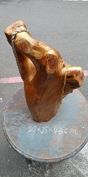 P_20210226_134616.jpg
