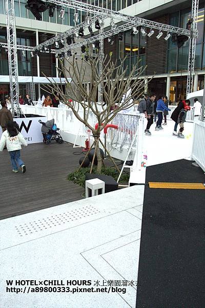 IMG_7530.CR2.jpg