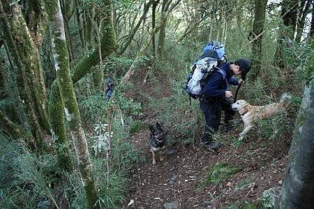 ap_F23_20110415035433271.jpg