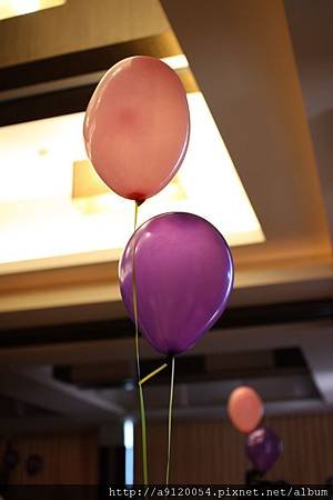 IMG_1238