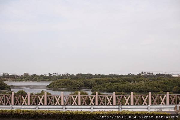 IMG_4162
