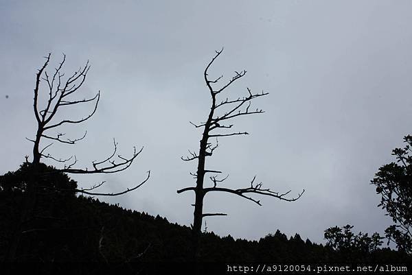 IMG_5238