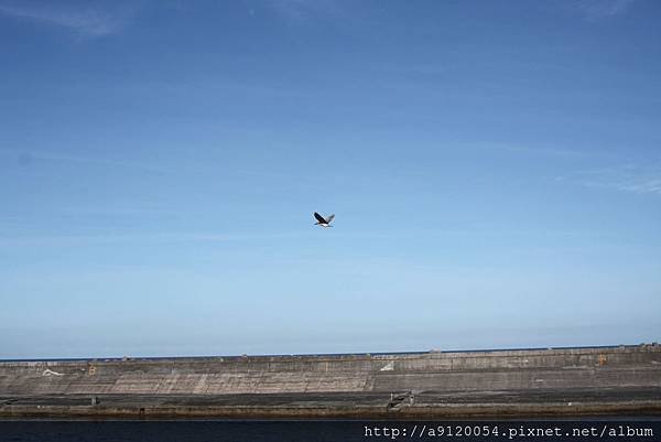 IMG_5363.jpg