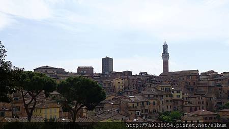 IMG_7088.jpg
