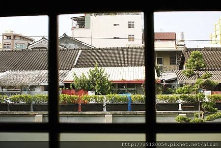 IMG_8727.JPG