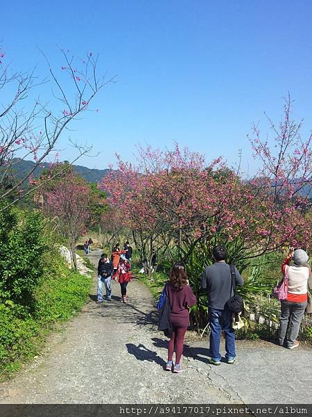 20140125_122846.jpg