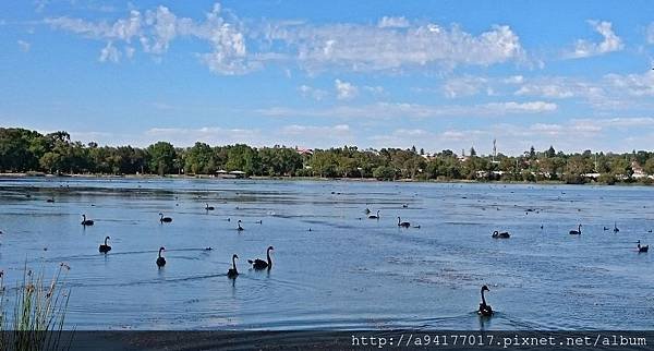 DSC_3650.JPG