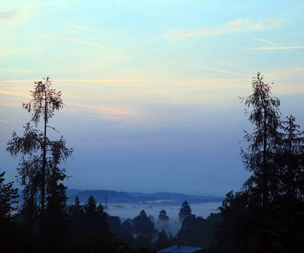 _MG_4040.JPG