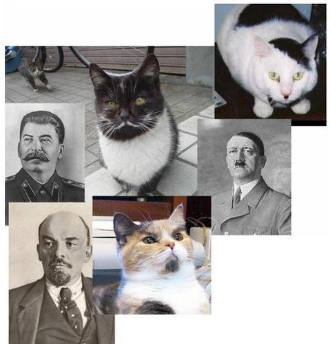 837297317_m.jpg