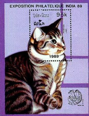 101 (2).jpg