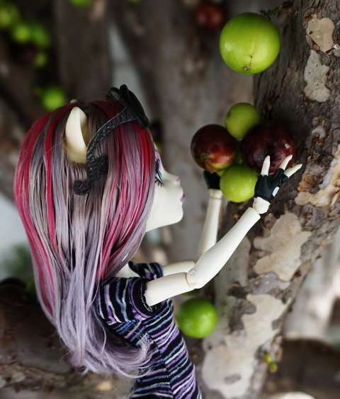 3719 (7).jpg