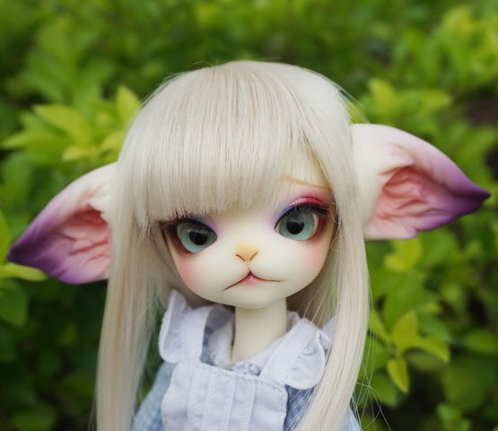 3871 (12).jpg
