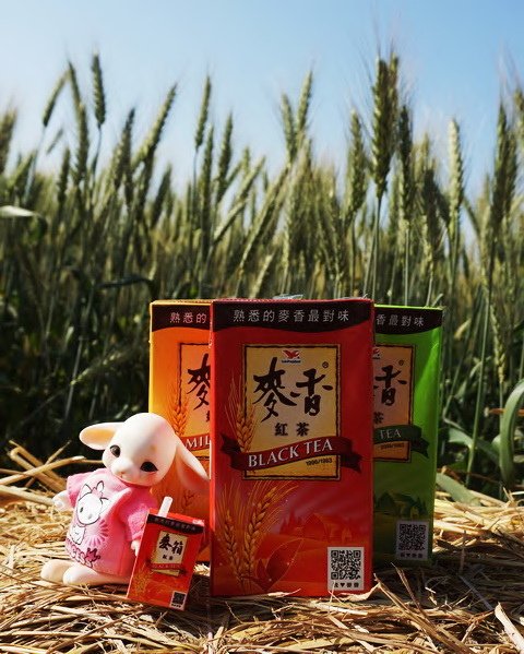 改3835 (12).jpg
