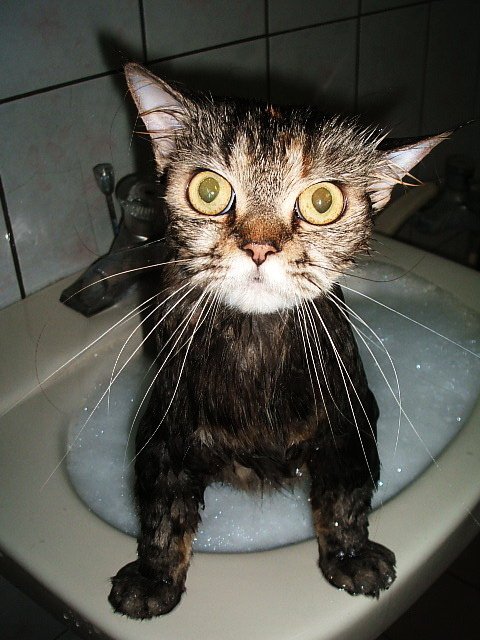 QQ酷酷酷 (2).jpg