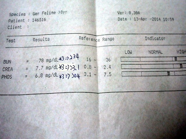 063斑斑之腎臟病治療 -- 自己尿尿囉  (16).jpg