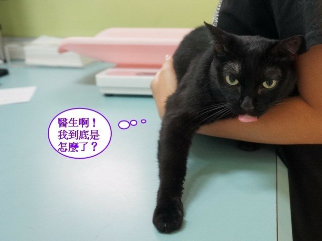 066琪琪拔牙記 (22).jpg