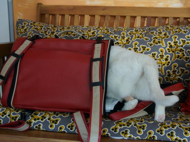 076波波腎鬥士 -- LV (9).jpg