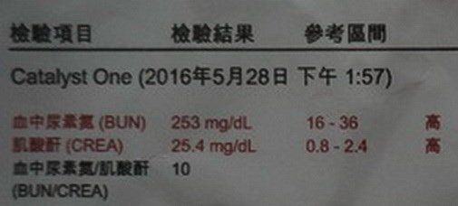 089乳乳出院了 (2).jpg