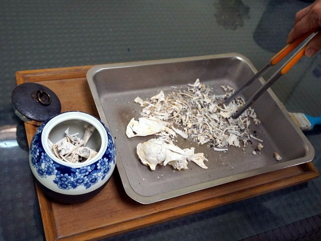 094仔仔小天使 (16).JPG