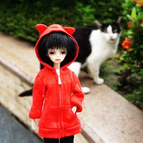 3936 (9).JPG