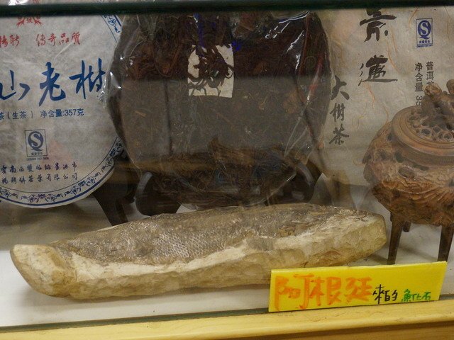 140907茶葉店的喵星人 (7).jpg