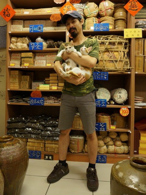 140907茶葉店的喵星人 (8).jpg