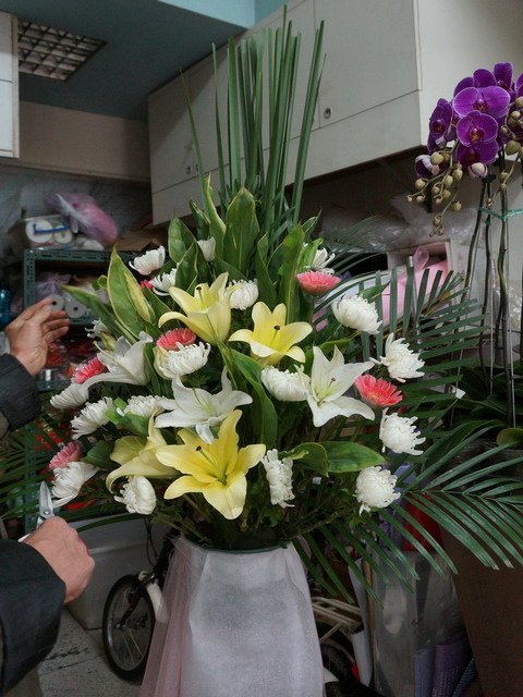 150109花藝店的一窩貓 (26).jpg