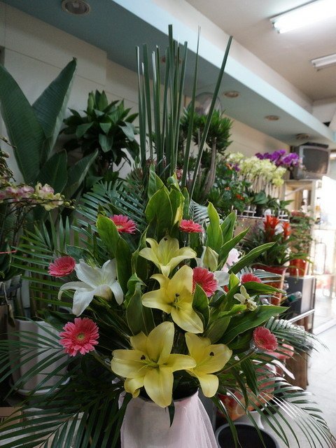 150109花藝店的一窩貓 (27).jpg