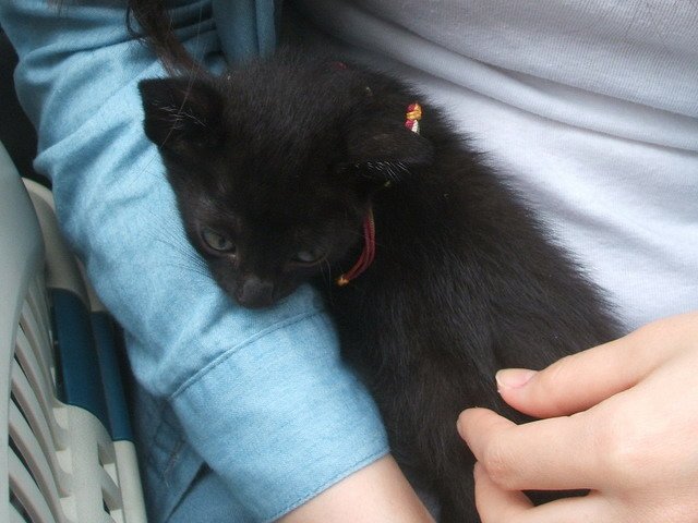 198 (26).jpg