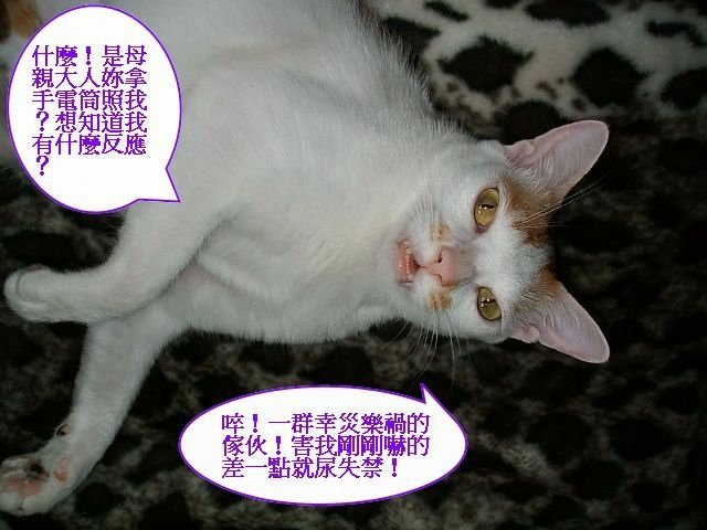 005改 (14).jpg